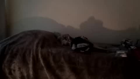 Snapshot of camren777 chatting on 7, 10, 2025 Camren online show from 7, 10, 2025