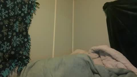 Snapshot of candianman86 chatting on 29, 5, 2026 candianman86 online show from 29, 5, 2026