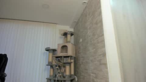 candy_queen81 online show from 15, 11, 2025