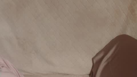 say meow and send tip  online show from 31, 3, 2026