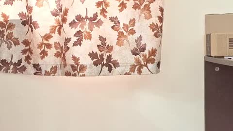 Snapshot of captain_juicyprecum chatting on 2, 3, 2025 captian juicyprecum online show from 2, 3, 2025