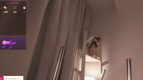  Mara  online show from 17, 12, 2024