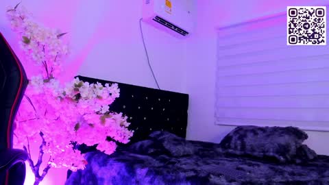 Snapshot of caramelo_exotico chatting on 13, 12, 2024 Caramel online show from 13, 12, 2024