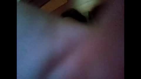 caravibugue online show from 31, 3, 2026