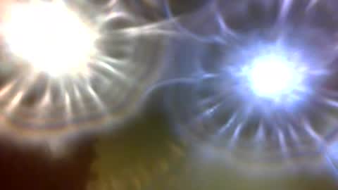 carlholmesjr20 online show from 4, 12, 2025