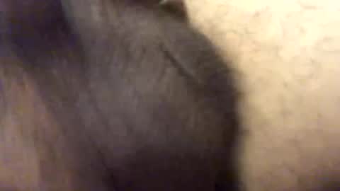 carlitos34m906127 online show from 17, 2, 2026