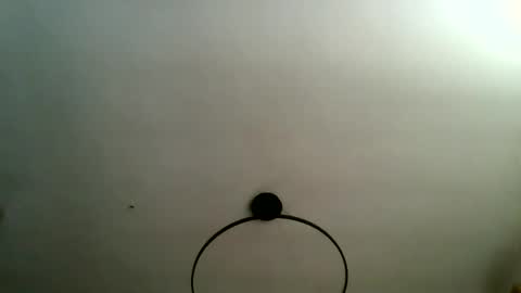 Carlos online show from 7, 1, 2026