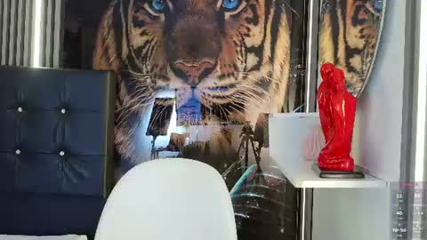 Carolay online show from 3, 7, 2026