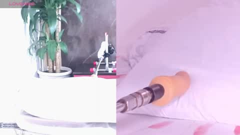 Carol online show from 16, 4, 2026