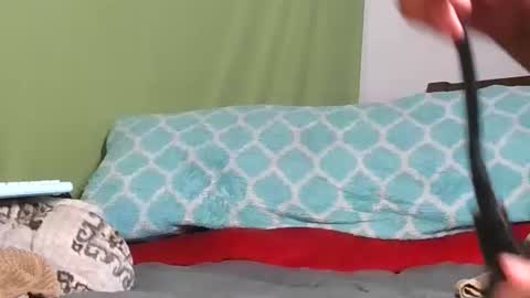 carolinayungin96 online show from 11, 11, 2025