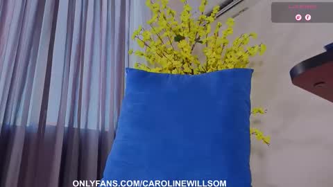  Caroline Willsom  online show from 18, 1, 2026