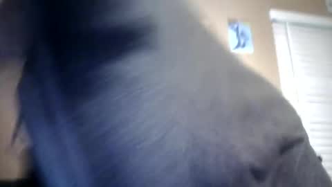 carsonlueders8775 online show from 13, 1, 2025