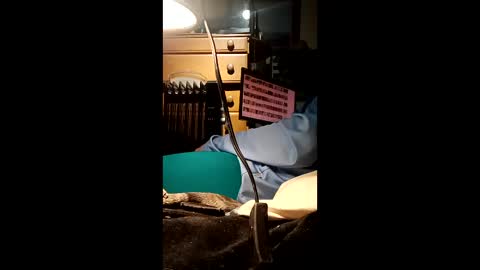 Snapshot of caryb chatting on 24, 2, 2026 caryb online show from 24, 2, 2026