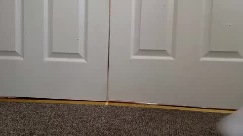 cash13bychanel online show from 11, 12, 2024