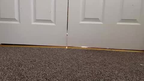 cash13bychanel online show from 22, 1, 2025