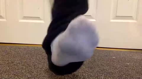 cash13bychanel online show from 26, 1, 2025