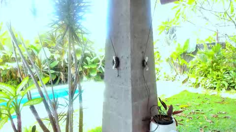 Hello my name is Cassie and my friend Nilo is also here online show from 18, 2, 2026