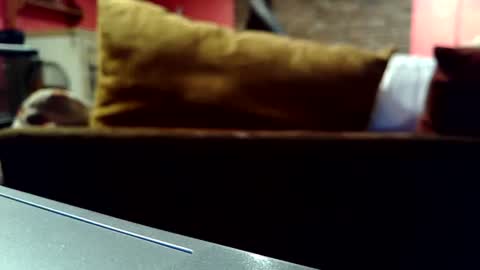 castration40 online show from 17, 10, 2025