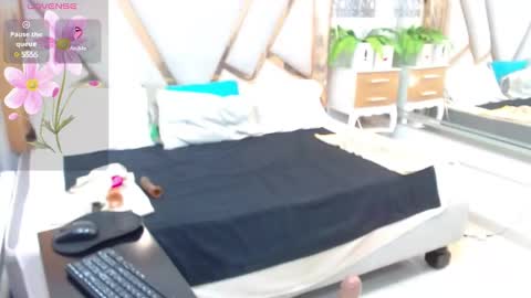 Cata online show from 28, 12, 2024