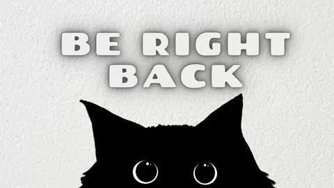 catalina online show from 20, 2, 2026