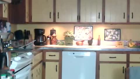 CATALYSTIC online show from 31, 12, 2024