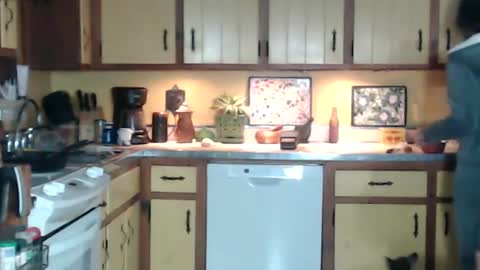 CATALYSTIC online show from 13, 1, 2025