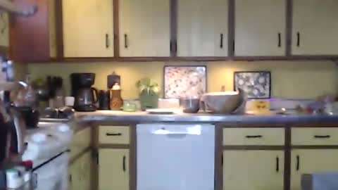 CATALYSTIC online show from 16, 2, 2025