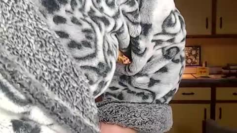 CATALYSTIC online show from 10, 3, 2025