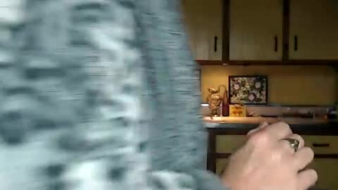 CATALYSTIC online show from 8, 9, 2025