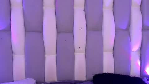 Cat  online show from 4, 12, 2024