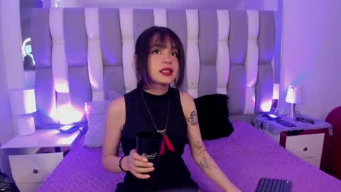 Cat  online show from 7, 12, 2024