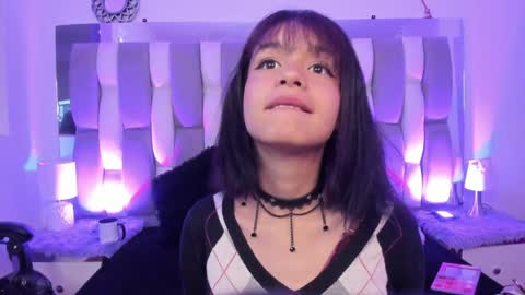 Cat  online show from 12, 12, 2024