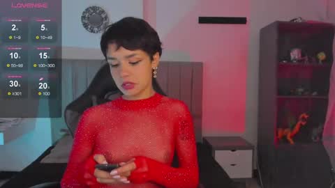 Cat  online show from 6, 3, 2025