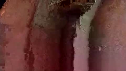 catdaddy179057 online show from 12, 3, 2026