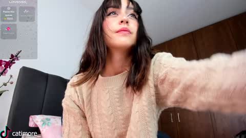 Catimore online show from 6, 1, 2025