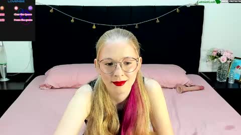 CatmintLush online show from 20, 5, 2026