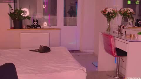 Snapshot of catromance chatting on 21, 11, 2025 Katerina online show from 21, 11, 2025