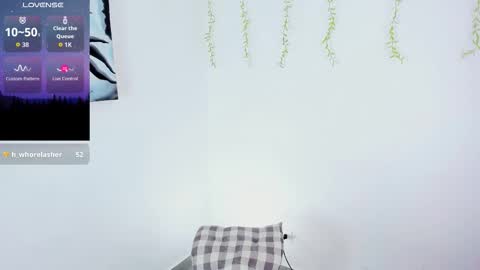 CattNamy online show from 23, 9, 2025