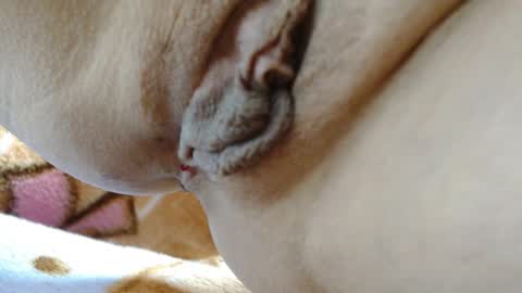 ANNYANNY online show from 4, 3, 2026