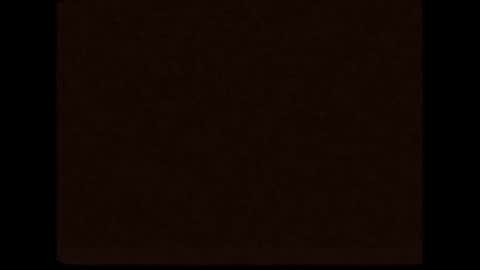 cd_susin online show from 21, 12, 2024