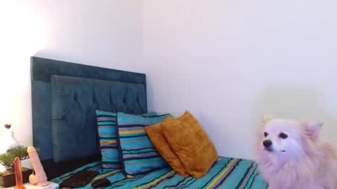 Snapshot of cedrixx10 chatting on 11, 11, 2025 Cedrixx10 online show from 11, 11, 2025