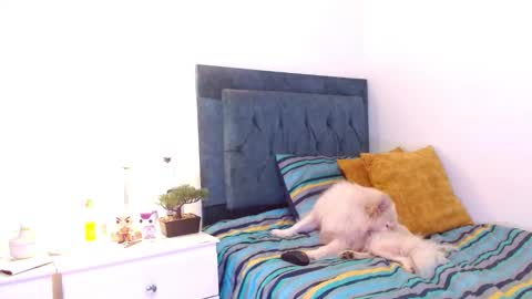 Snapshot of cedrixx10 chatting on 16, 12, 2025 Cedrixx10 online show from 16, 12, 2025