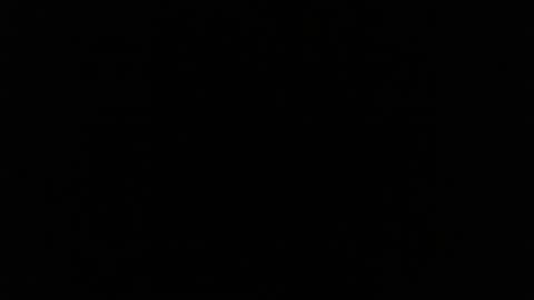 ceebee12 online show from 1, 4, 2026