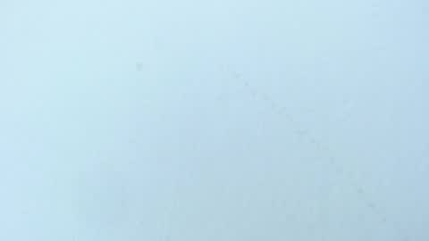 celiani_caleb online show from 3, 11, 2025