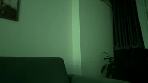 Snapshot of cescon11 chatting on 29, 12, 2024 Cescon11 online show from 29, 12, 2024