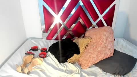 Chanell online show from 26, 2, 2025