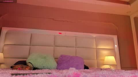    online show from 12, 11, 2025