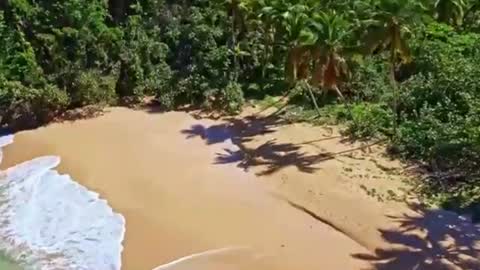 Sam online show from 17, 12, 2024