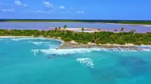 Sam online show from 19, 12, 2024