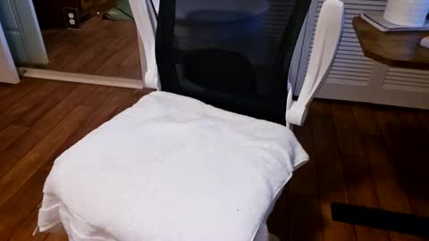 chaytay12 online show from 27, 1, 2025